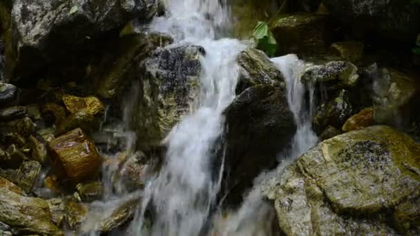 Pequena cachoeira de um fluxo — Vídeo de Stock