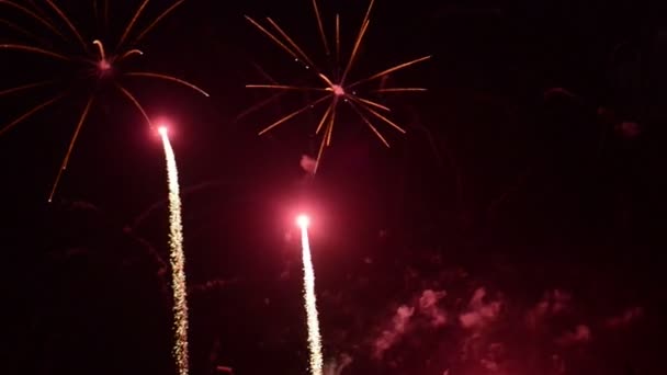 Firework in the sky — Stock Video