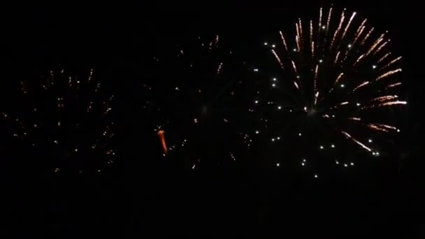 Fuochi d'artificio nel cielo — Video Stock