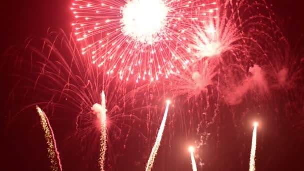 Feux d'artifice dans le ciel — Video