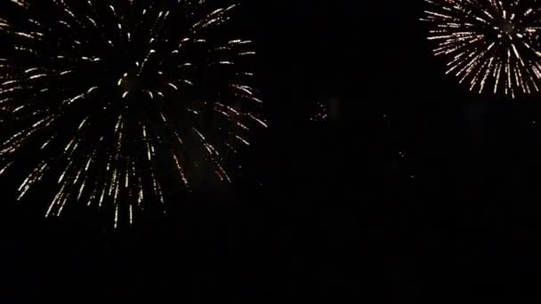 Feuerwerk am Himmel — Stockvideo