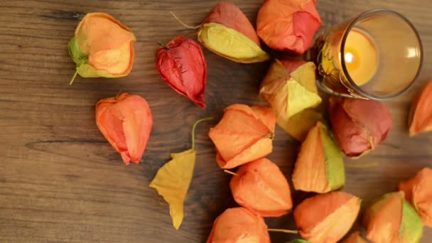 Clasificación de la decoración de otoño como luz de té y cereza de vejiga en una mesa . — Vídeo de stock