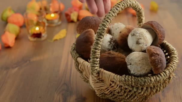 Koš s penny buchta houby. v pozadí podzimní dekorace — Stock video