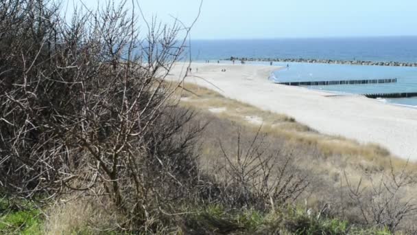 Praia do Mar Báltico Darss penínsulas com vegetações — Vídeo de Stock