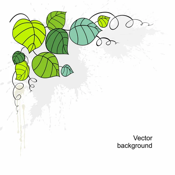 Blätter und Locken — Stockvektor