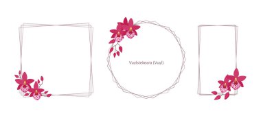 Beyaz arkaplanda orkide çiçekleri (Vuylstekeara) olan çerçeveler. Kart tasarımınız, selamlamalarınız, davetiyeleriniz ve benzerleriniz için basit zarif çerçeveler. Düz çizgi film vektör çizimi.