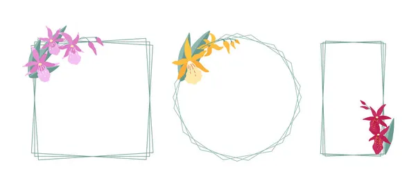 白い背景に蘭の小枝 Degarmoara のフレーム あなたのデザインのための3つのシンプルなエレガントなフレームのセット フラット漫画ベクトルイラスト — ストックベクタ