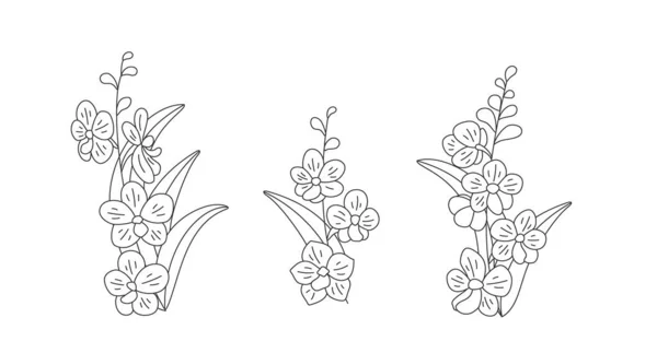 Set Med Blommiga Kvistar Vit Bakgrund Linjär Illustration Orkidé Blommor — Stock vektor