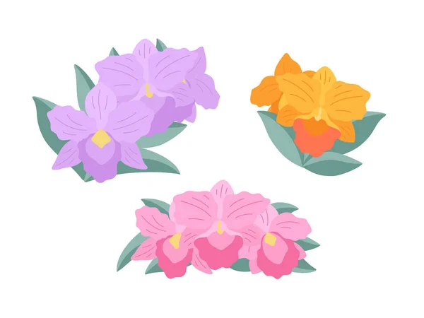 白い背景に蘭の花 Brassolaeliocattleya フラットイラスト あなたのデザインのためのシンプルな小さな繊細な花束のセット フラット漫画ベクトルイラスト — ストックベクタ