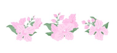 Beyaz bir zemin üzerinde üç demet çiçek (Chitalpa tashkentensis), düz bir illüstrasyon. Tasarımınız için basit, narin buketler. Düz çizgi film vektör çizimi.