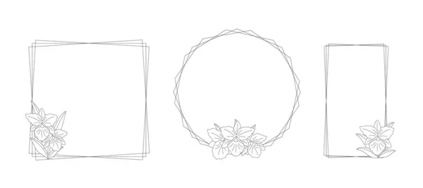 白い背景に蘭の花 Rhynchophyrocattleya と3つの異なる線形フレーム デザインのためのシンプルなエレガントなフレームのセット ベクターラインアートイラスト — ストックベクタ