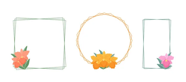 白い背景に蘭の花 Rhynchophyrocattleya と3つの異なる線形フレーム フラットイラスト デザインのためのシンプルなエレガントなフレームのセット フラット漫画ベクトルイラスト — ストックベクタ