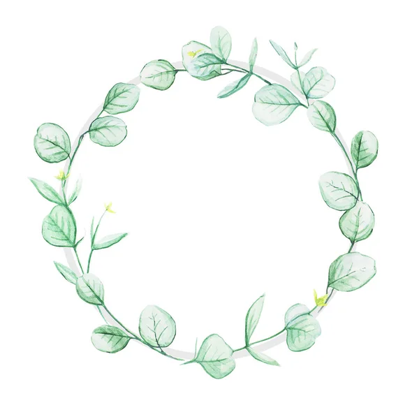 用水彩画的桉树枝条的圆形框架 植物水彩画 独立于白色背景 复制空间 简单的花环 — 图库照片