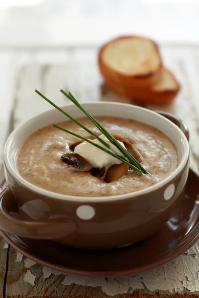 Mushroom soup. — Stock Photo, Image