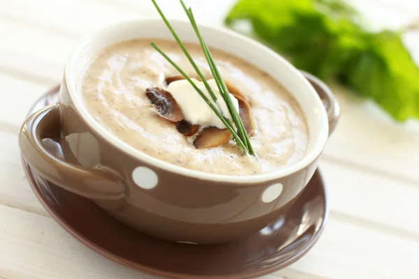 Mushroom soup. — Stock Photo, Image