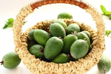 bir feijoa sepeti.