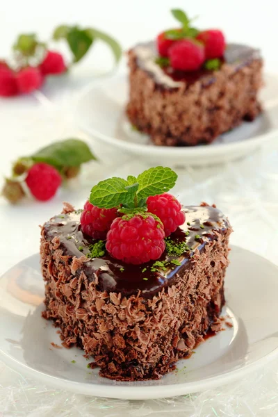 Bolo de castanha de chocolate . — Fotografia de Stock