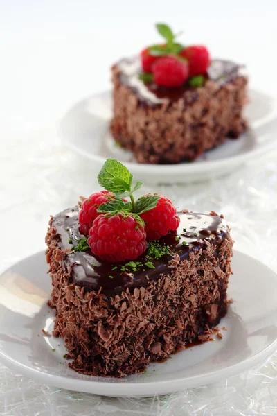 Bolo de castanha de chocolate . — Fotografia de Stock