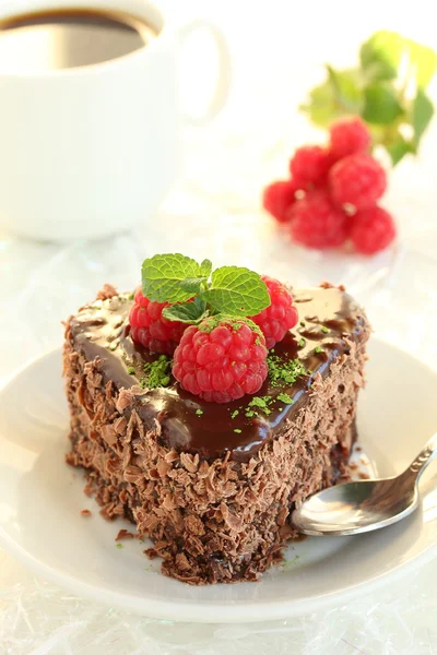 Шоколадний торт каштановий . — стокове фото