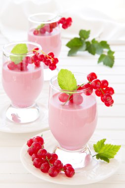 Panna cotta tatlı kırmızı kuş üzümü, seçici odak ile.