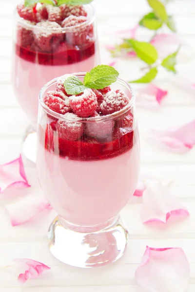 Raspberry dessert panna cotta, selective focus. — Stock Photo, Image