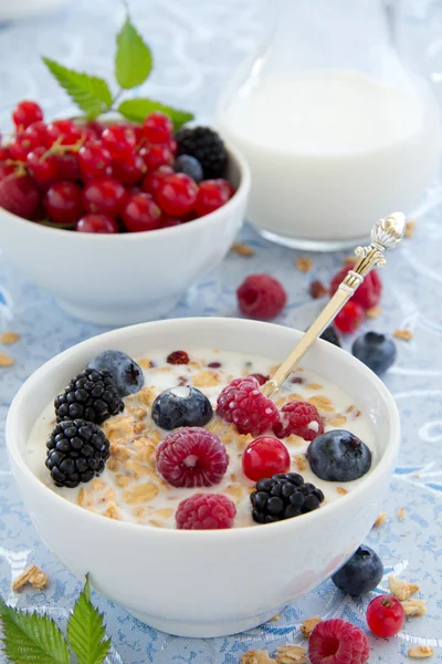 Desayuno - muesli con bayas, leche, enfoque selectivo . — Foto de Stock