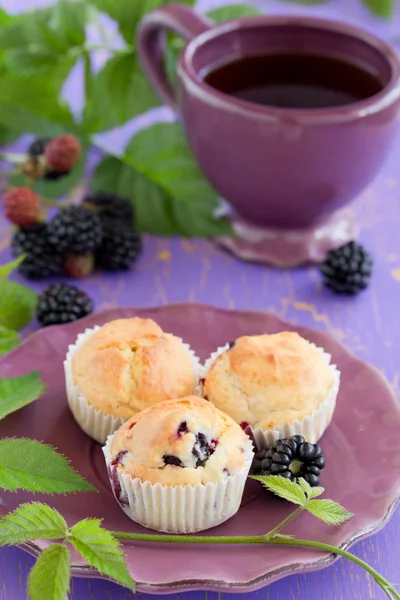 Muffins with blackberries. — Stock Photo, Image