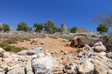 Yunanistan, Girit Adası'nın peyzaj