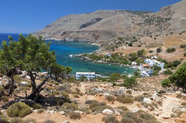 Lykos koyunda Girit Adası Yunanistan