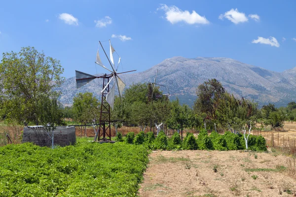 Altopiano di Lasithi sull'isola di Creta in Grecia — Foto Stock