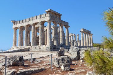 Tapınak aphaea Athina aegina Island, Yunanistan.