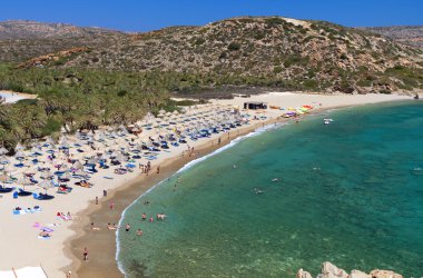 Vai palmtrees koyu ve Plajı Yunanistan'da Girit Adası'nda