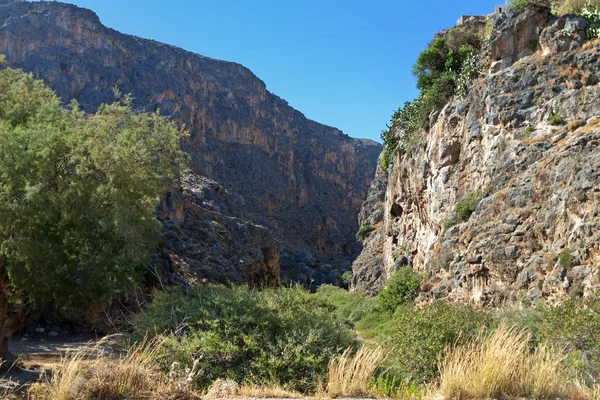 在希腊克里特 pervolakion 峡谷 — 图库照片