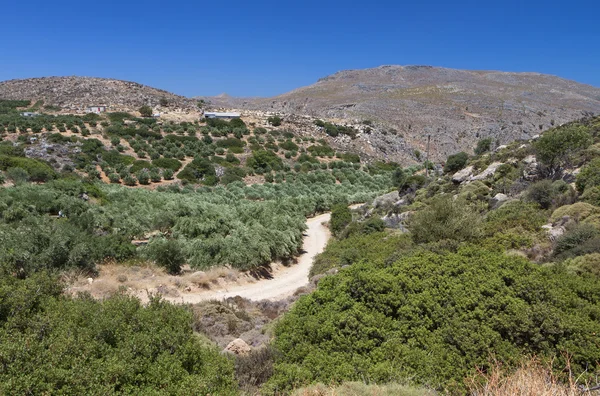 Zakros desfiladeiro na ilha de Creta, na Grécia — Fotografia de Stock