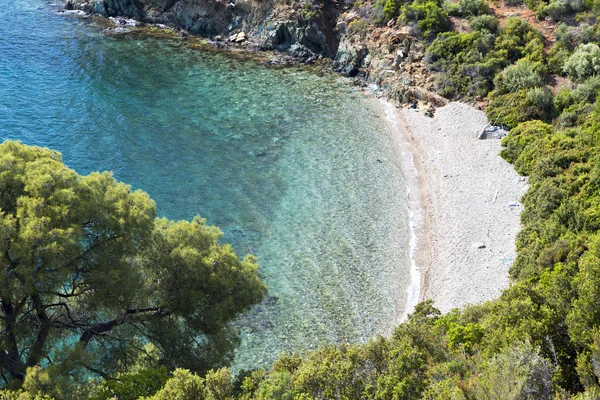 Festői távoli strandon Halkidiki, Görögország — Stock Fotó