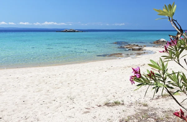 Spiaggia panoramica a Halkidiki in Grecia Immagini Stock Royalty Free