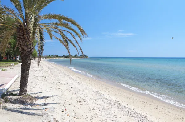 Playa panorámica en la península de Chalkidiki en Grecia —  Fotos de Stock