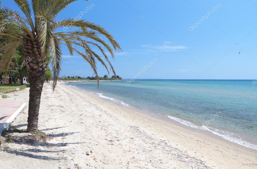 Scenic beach at Chalkidiki peninsula in Greece