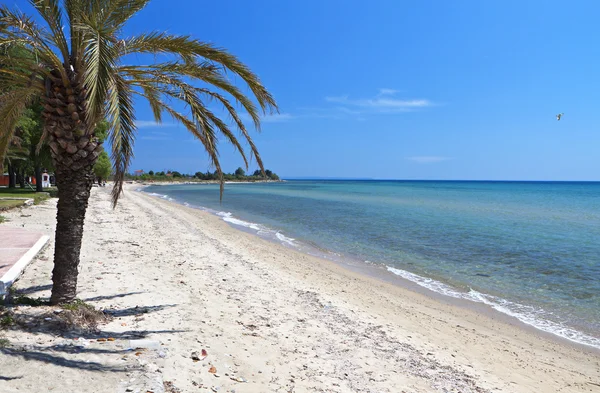 Malerischer Strand in Griechenland — Stockfoto