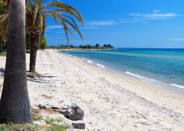 Yunanistan yarımadasında chalkidiki doğal plaj