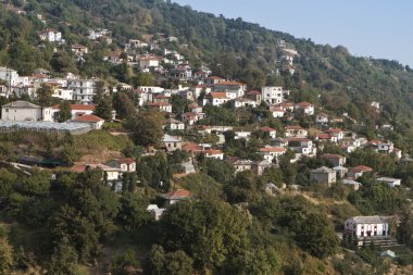 Pelion peyzaj Yunanistan