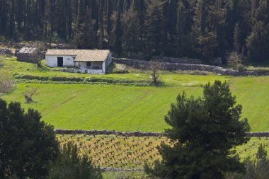 çayır sahne zakynthos Adası Yunanistan