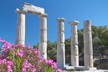 Yunanistan samothraki Adası'nda büyük Tanrıların Tapınağı