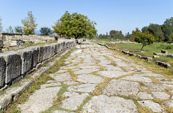 ギリシャの古代ディオン — ストック写真