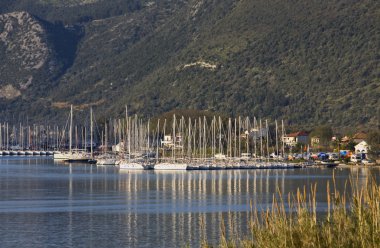 Nydri defne lefkada Adası, Yunanistan