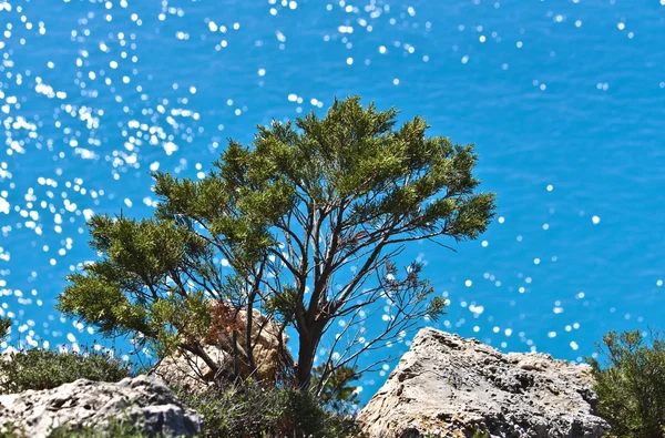 Praia de Porto Katsiki na ilha de Lefkada, Grécia — Fotografia de Stock