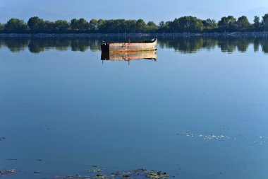 Kerkini lake, Makedonya, Yunanistan