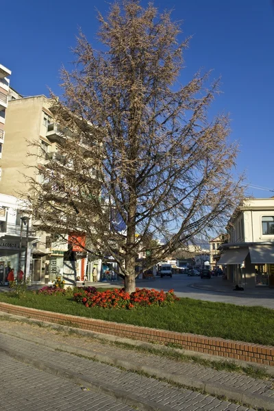 Komotiny city at Griekenland Noord — Stockfoto