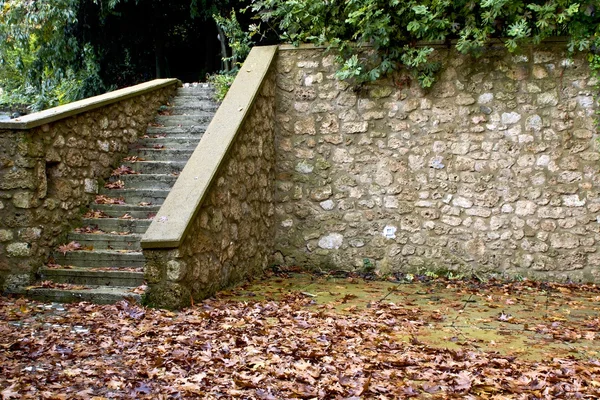 Old backyard with stone fence and steps