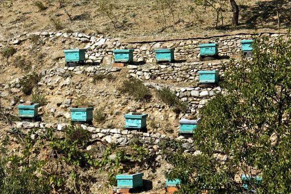 Colmenas apícolas en Grecia —  Fotos de Stock